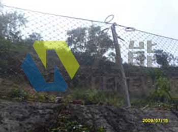 RX-050�ͱ��ӷ��o(h��)�W(w��ng)