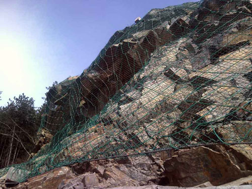 RXI-100�ͱ���(d��ng)���o(h��)�W(w��ng)