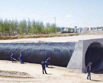 006 (4).jpg 006 (4).jpg